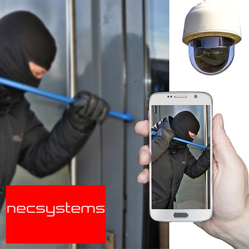 hurtos en cataluña