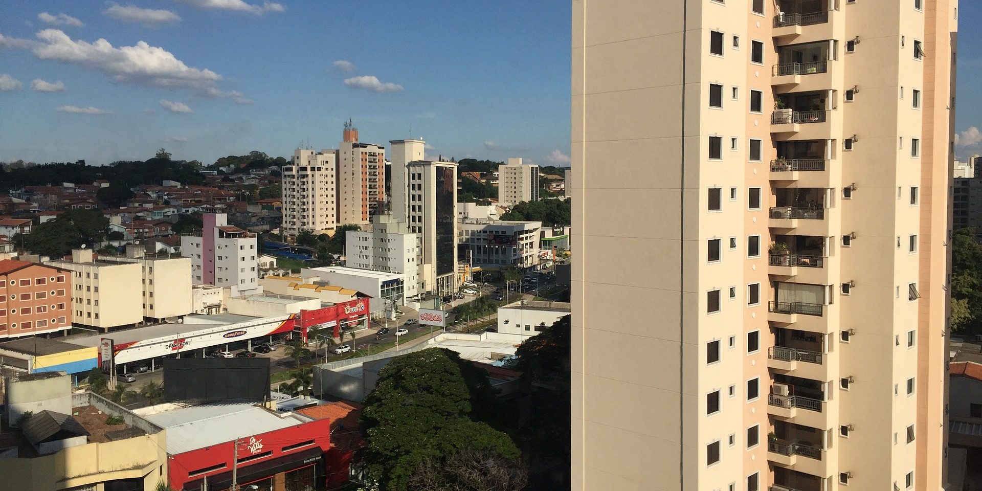 ladrón de guante blanco