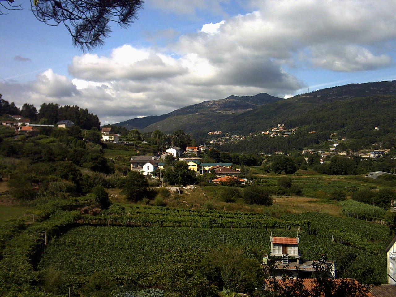 concello-de-mos-galicia